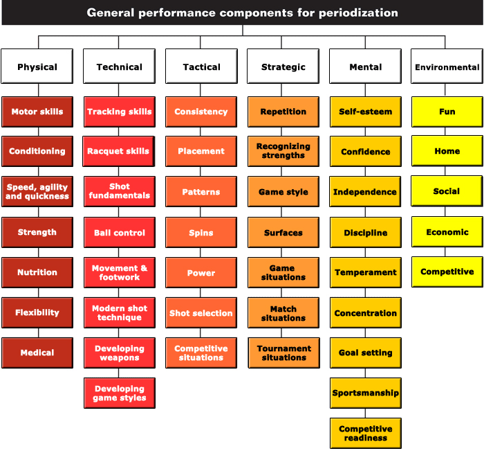 General performance. Physical skills. General physical skills. TM-Performance components.